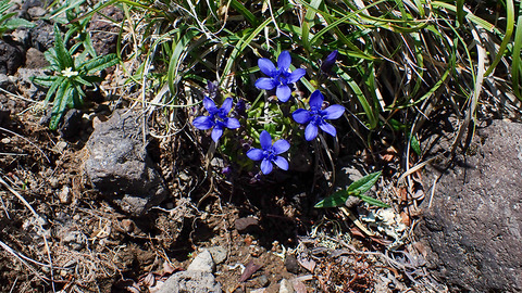 P7150196