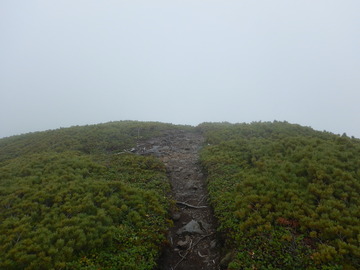 DSCN5077