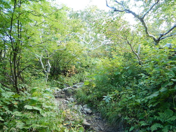 DSCN3896
