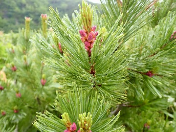 P7030172