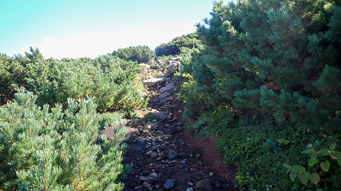 P9010046