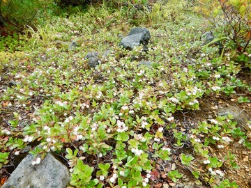 DSCN3819