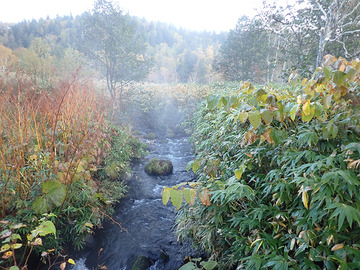 PA090004