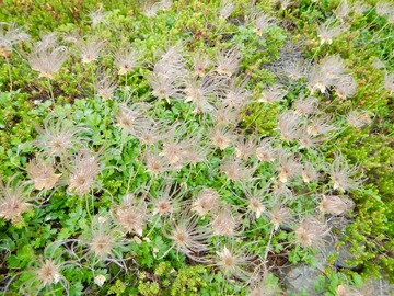 DSCN3795