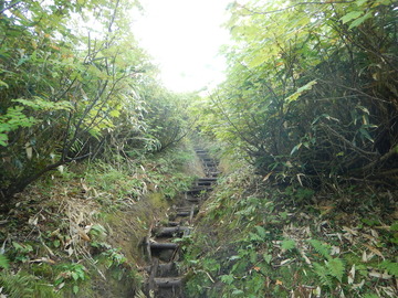 DSCN2771