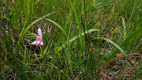 P8030090