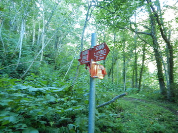 DSCN3886