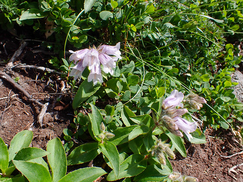 P7060071