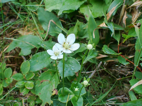 P8030051