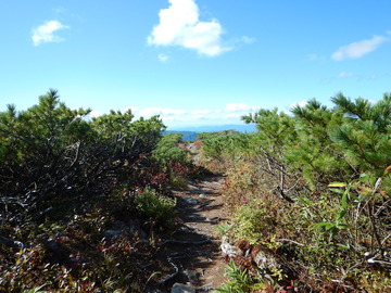 DSCN4010
