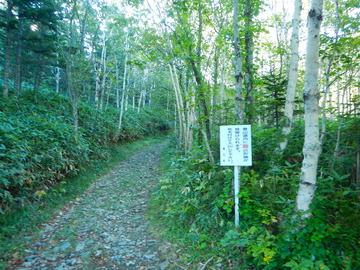 DSCN3867