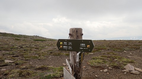 P6230125