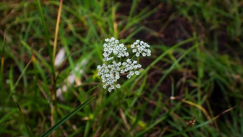 P8030052