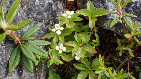 P6300236