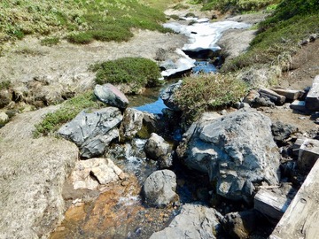 DSCN3787