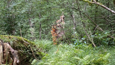 P8030029