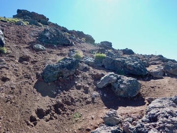 DSCN3646
