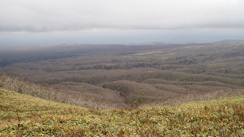 PA270119