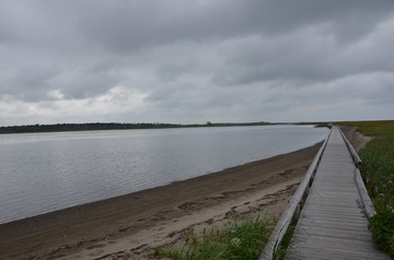 D7T_6294