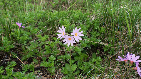 P7150252