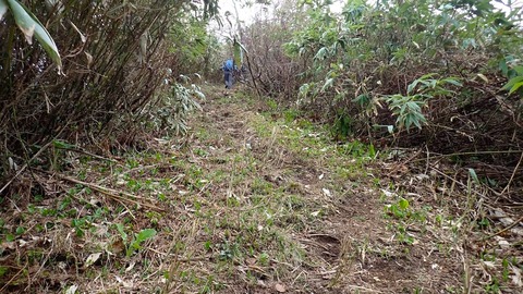 P5120032