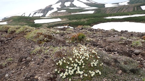 P6160099