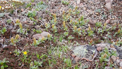 P6230114