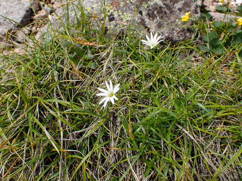 P7130131