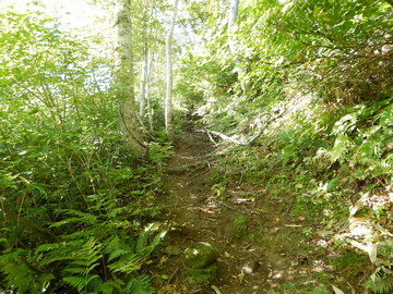 DSCN4049
