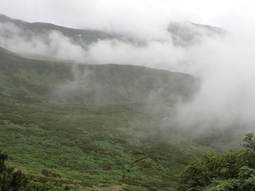 P7030056