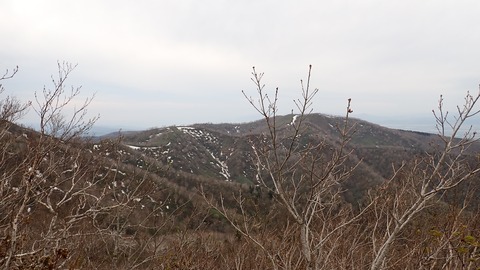 P5120096
