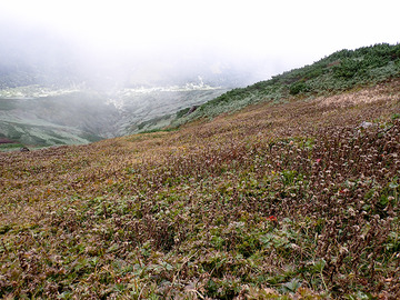 P9240118