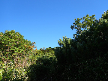 P9030142