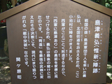���ŵ���2