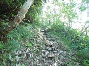 DSCN3894