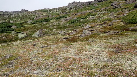 P6230131