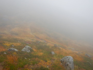 DSCN6842
