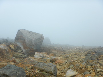 DSCN3165