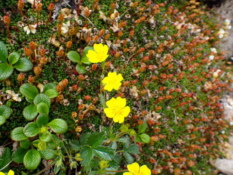 P7130127