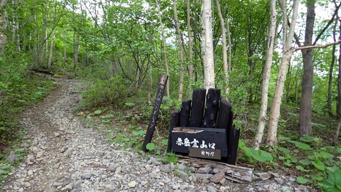 P6230005
