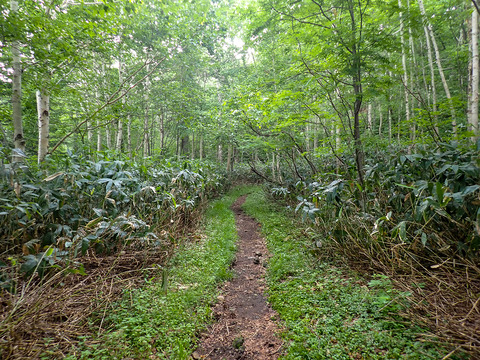 P7050003