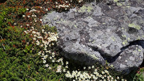 P6300177