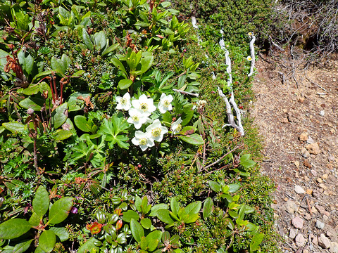 P7050151