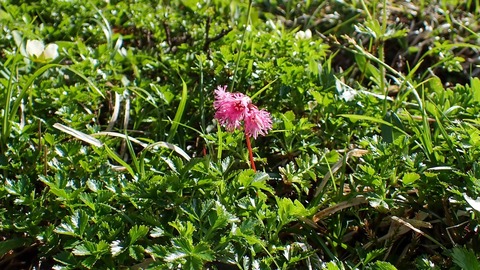 P6300104