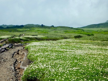 DSCN3780