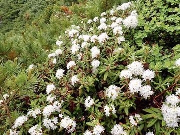 P7030068