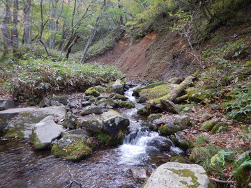 DSCN7059