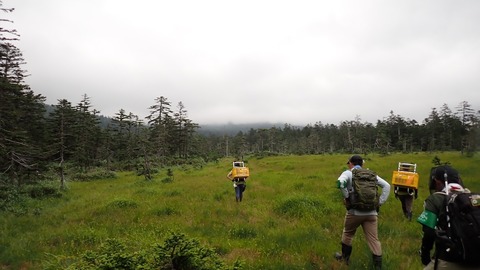 P8030043