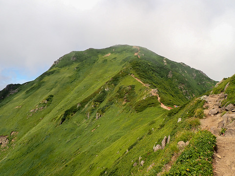 P8030105