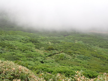 P7030162